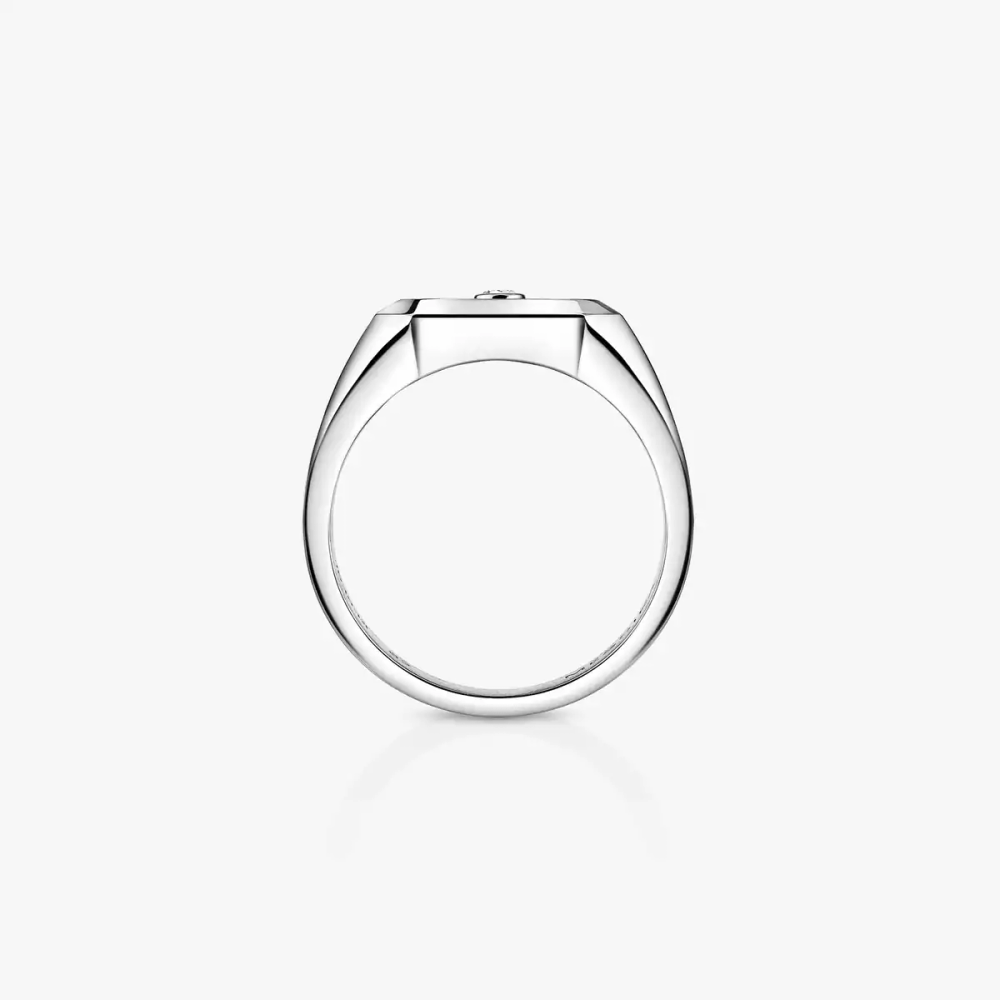 Move Titanium Naturel Siegelring