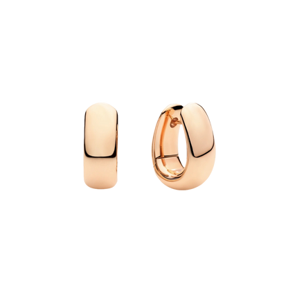 Iconica Earrings