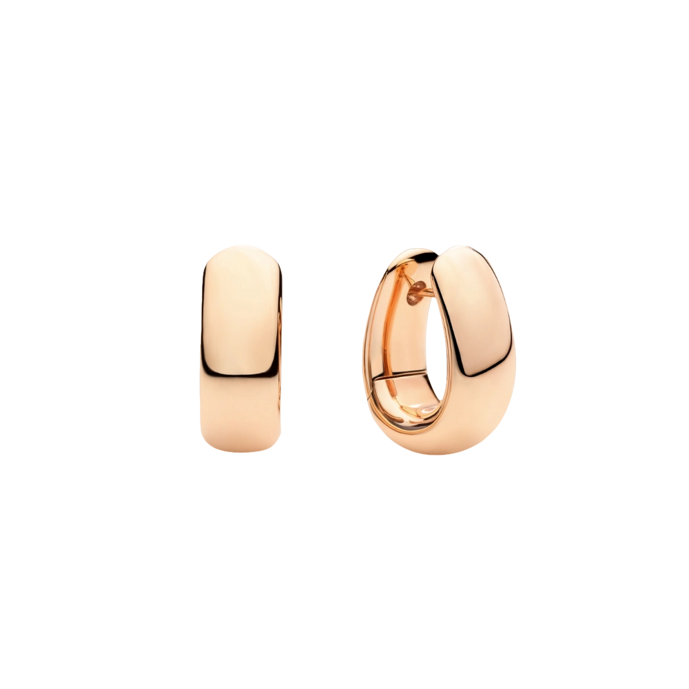 Iconica Earrings