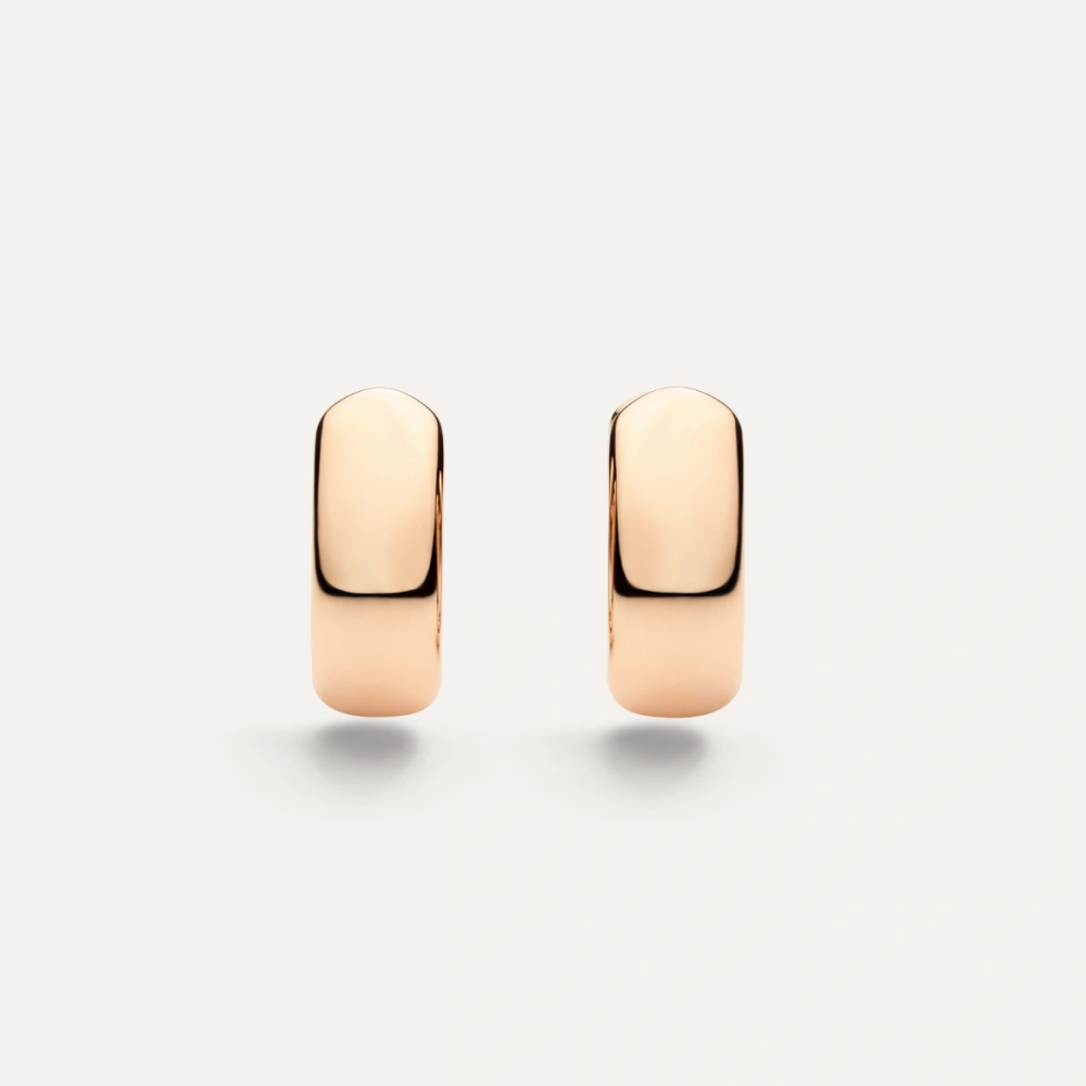 Iconica Earrings