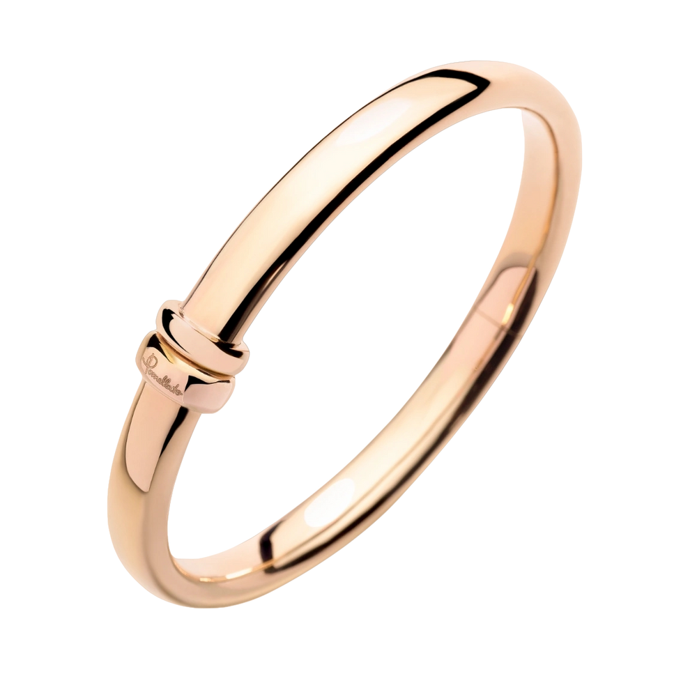 Bracelet Jonc Iconica